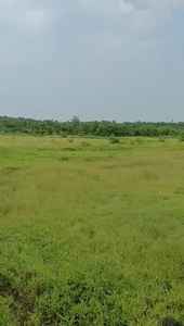 Agricultural Land 133 Guntha for Sale in Murbad MIDC, Thane