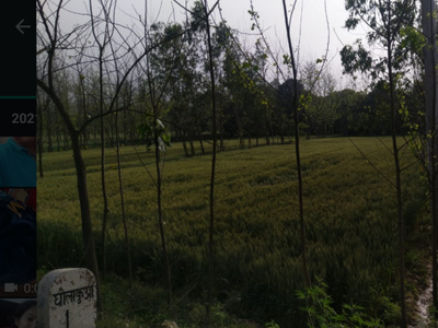 Agricultural Land 1503 Sq. Meter for Sale in