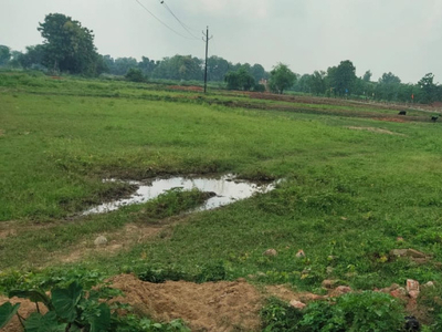 Agricultural Land 16 Acre for Sale in Chandur, Amravati