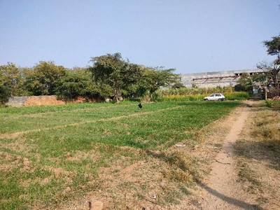 Agricultural Land 16 Bigha for Sale in Bhinder, Udaipur