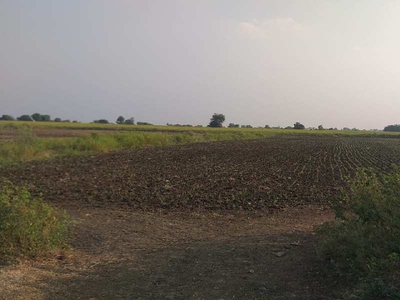 Agricultural Land 17 Sq.ft. for Sale in
