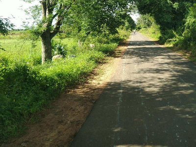 Agricultural Land 2 Acre for Sale in Cheyyar, Tiruvannamalai