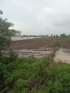 Agricultural Land 2 Acre for Sale in Ichhawar, Sehore