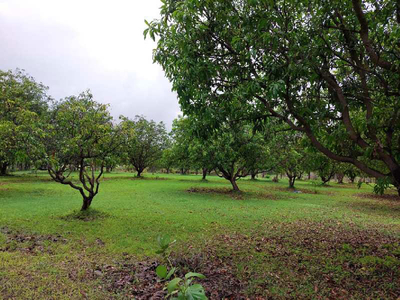 Agricultural Land 2 Acre for Sale in