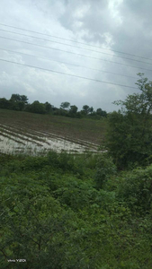 Agricultural Land 2 Acre for Sale in Kuhi, Nagpur