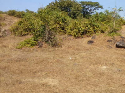 Agricultural Land 2 Acre for Sale in Murbad, Thane