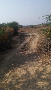 Agricultural Land 20 Bigha for Sale in