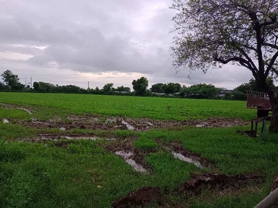 Agricultural Land 20 Bigha for Sale in Rajat Grah Colony, Bundi