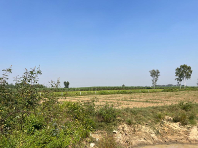 Agricultural Land 2000 Sq. Yards for Sale in