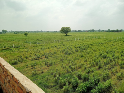 Agricultural Land 22 Bigha for Sale in Naugaon, Alwar