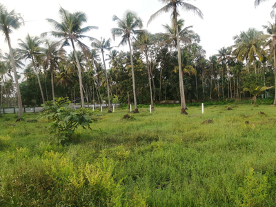 Agricultural Land 23 Cent for Sale in Mathilakam, Thrissur
