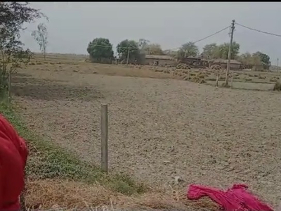 Agricultural Land 25 Biswa for Sale in Pindra, Varanasi