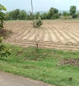 Agricultural Land 26 Acre for Sale in Narkhed, Nagpur
