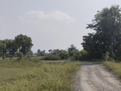 Agricultural Land 3 Acre for Sale in Acharapakkam, Chengalpattu