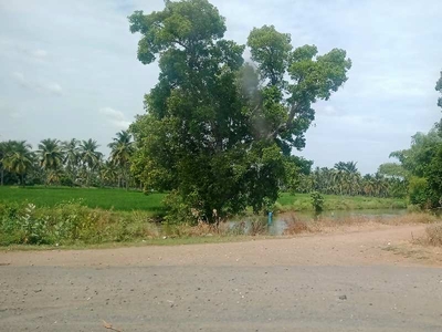 Agricultural Land 3 Acre for Sale in Karayampalayam, Coimbatore