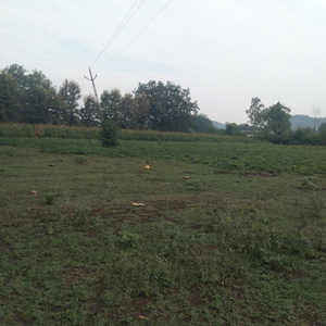 Agricultural Land 3 Acre for Sale in Modasa, Aravalli