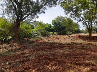 Agricultural Land 30 Acre for Sale in Nanjangud, Mysore