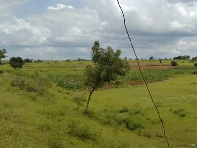 Agricultural Land 30 Acre for Sale in