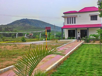 Agricultural Land 32 Bigha for Sale in Fatehganj Pashchimi, Bareilly