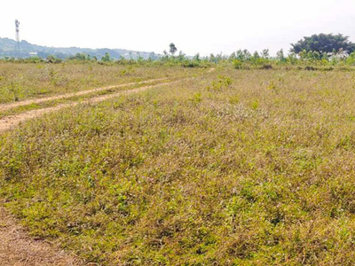 Agricultural Land 4 Acre for Sale in Denkanikottai, Krishnagiri