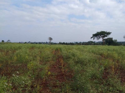 Agricultural Land 4 Acre for Sale in Nanjangud, Mysore