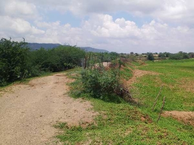Agricultural Land 4 Bigha for Sale in Digod, Kota