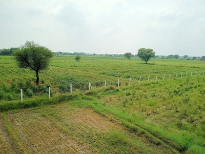 Agricultural Land 40 Bigha for Sale in Delhi Bypass Road, Alwar