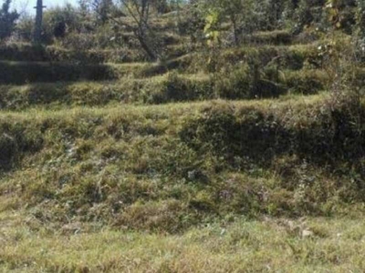 Agricultural Land 4840 Sq. Yards for Sale in Manjokhi, Rishikesh