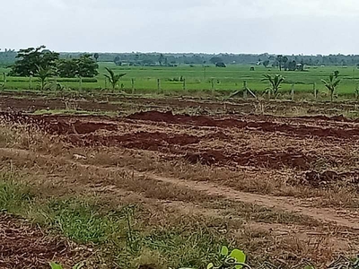 Agricultural Land 5 Acre for Sale in Annur Metu Palayam, Coimbatore
