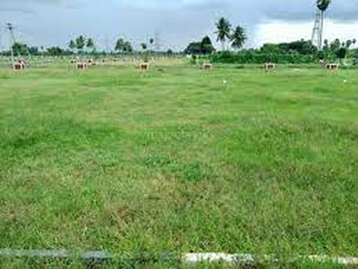 Agricultural Land 5 Acre for Sale in Chittoor, Palakkad