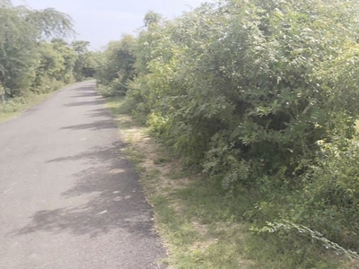 Agricultural Land 5 Acre for Sale in Kalpakkam To Vandalur Road, Chennai