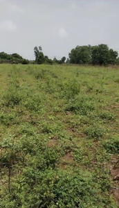 Agricultural Land 5 Acre for Sale in Selaiyur Madambakkam,