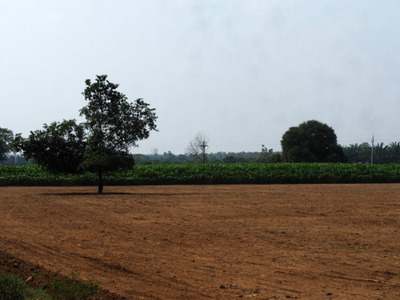 Agricultural Land 5 Acre for Sale in Sohna, Gurgaon