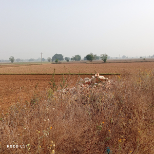 Agricultural Land 5 Bigha for Sale in Kishangarh, Alwar