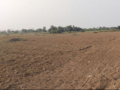 Agricultural Land 6 Acre for Sale in Marakkanam, Chennai