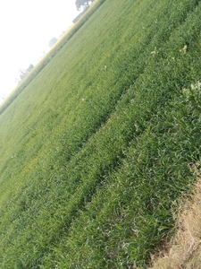 Agricultural Land 6 Acre for Sale in