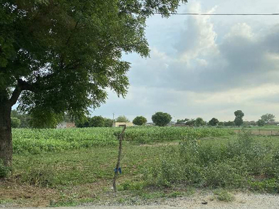Agricultural Land 6 Acre for Sale in Sohna Road, Faridabad