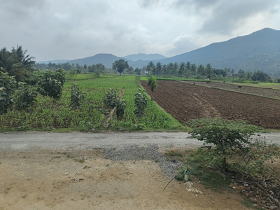Agricultural Land 65 Cent for Sale in Morappur, Dharmapuri