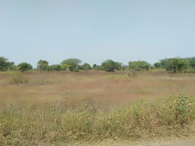 Agricultural Land 7 Acre for Sale in Gumgaon, Nagpur