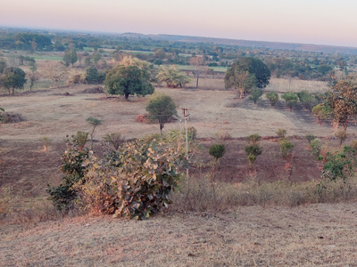 Agricultural Land 7 Acre for Sale in Mouda, Nagpur