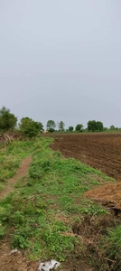 Agricultural Land 7 Ares for Sale in Parseoni, Nagpur