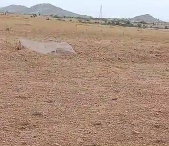 Agricultural Land 73 Ares for Sale in Kalyandurg, Anantapur