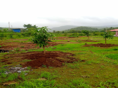Agricultural Land 82000 Sq.ft. for Sale in Pen, Raigad