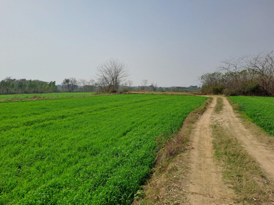 Agricultural Land 9 Acre for Sale in