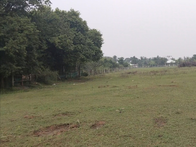 Agricultural Land 9 Acre for Sale in Thaiyur, Chennai