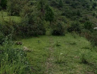 Agricultural Land 9680 Sq. Yards for Sale in Manjokhi, Rishikesh