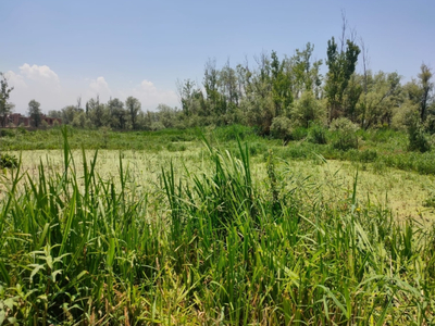 Commercial Land 1 Acre for Sale in Peerbagh, Srinagar