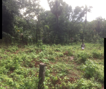 Commercial Land 35 Cent for Sale in Paruthipully, Palakkad
