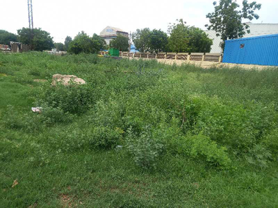 Commercial Land 366 Sq. Yards for Sale in Bamni Khera, Palwal
