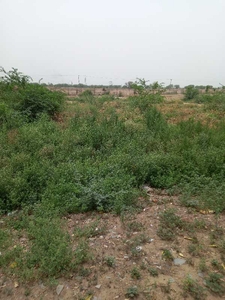 Commercial Land 4890 Sq. Yards for Sale in Hodal, Palwal
